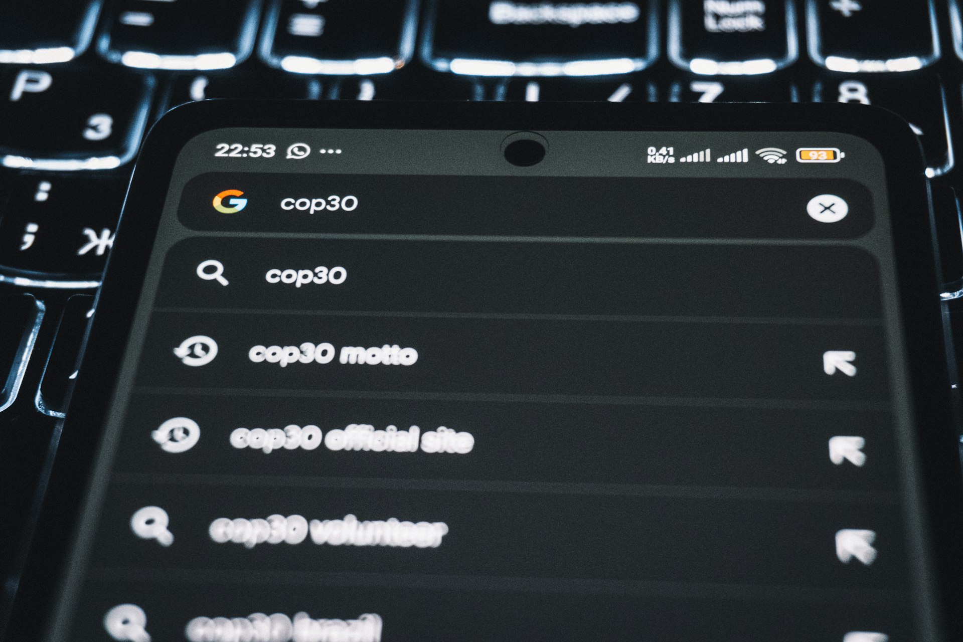 Smartphone displaying search results for cop30